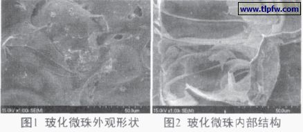 ?；⒅橥庥^形狀及內(nèi)部結構